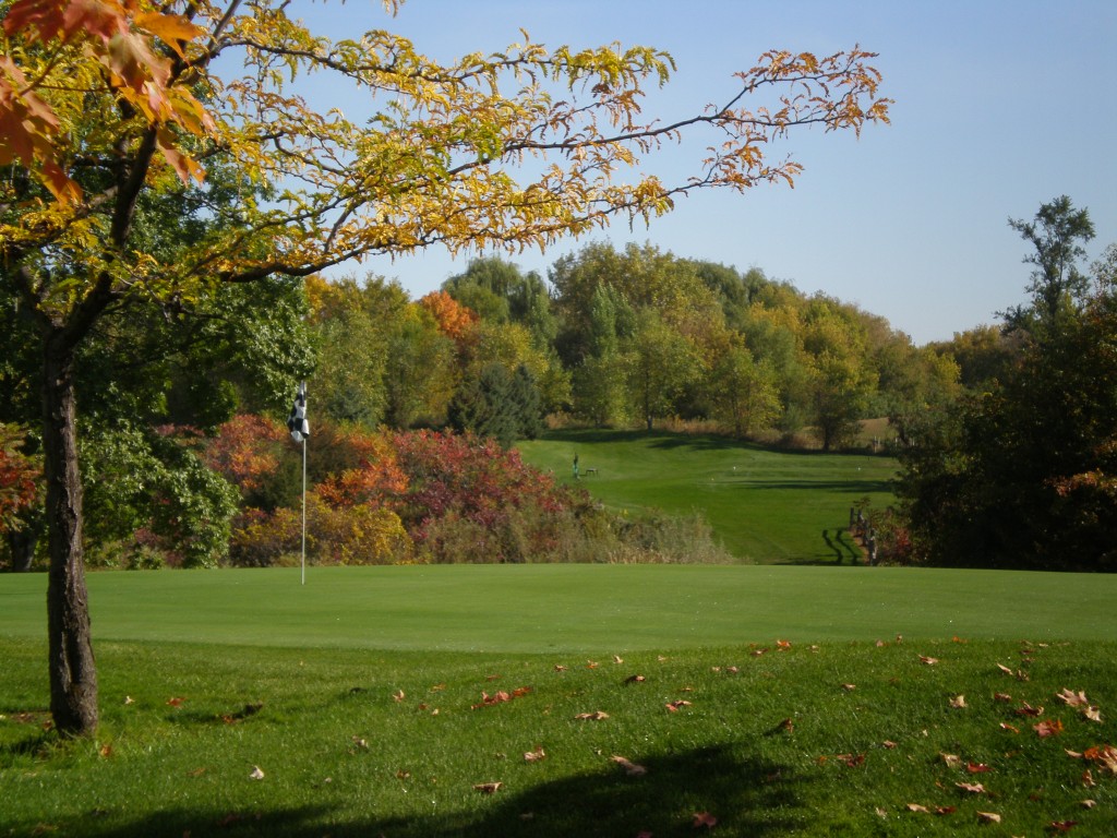 GolfTrack Academy at Halla Greens Logo