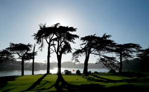 TPC Harding Park Logo