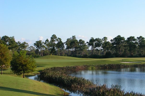 Don Law Golf Academy at Hammock Creek Golf Club  Logo