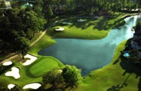 Golf Performance Group Logo