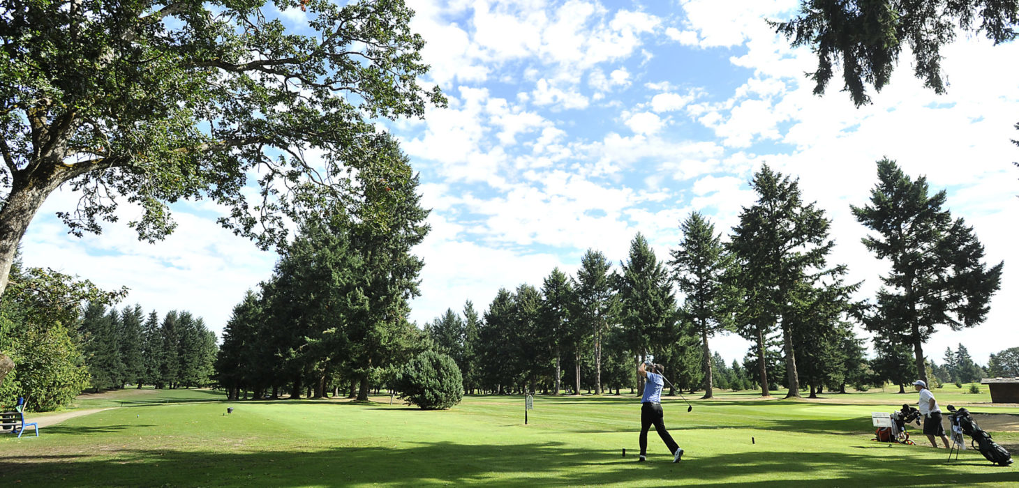 Meadow Park Golf Course Logo