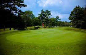 The Back Nine Club Logo