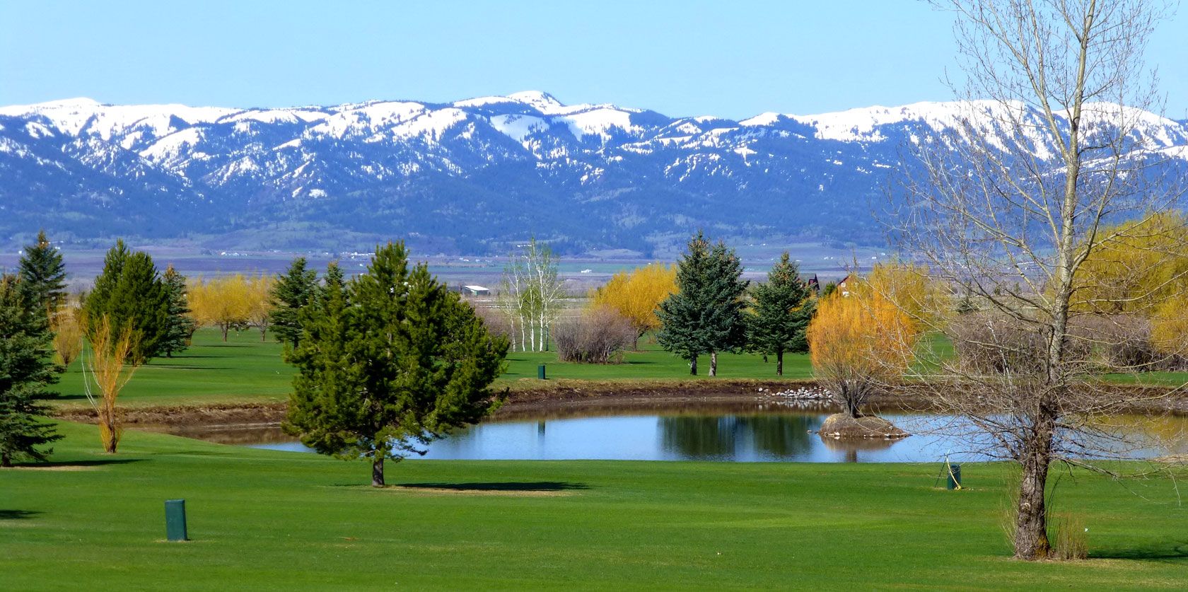 Targhee Village Golf Course Logo