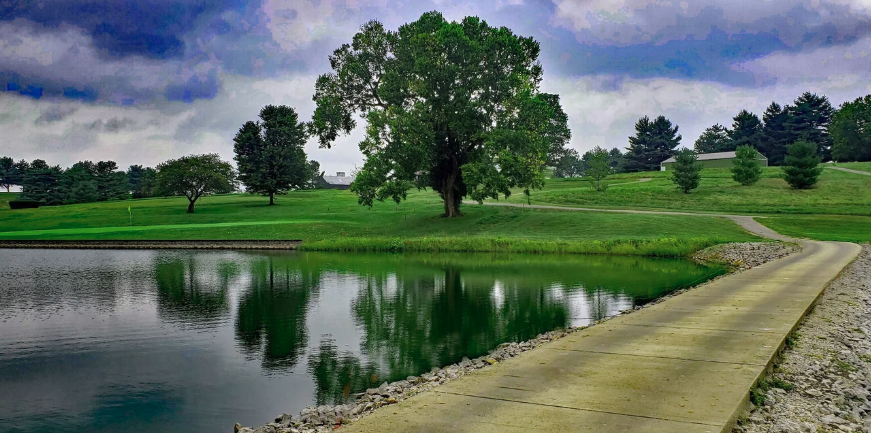 The Woodford Club Logo